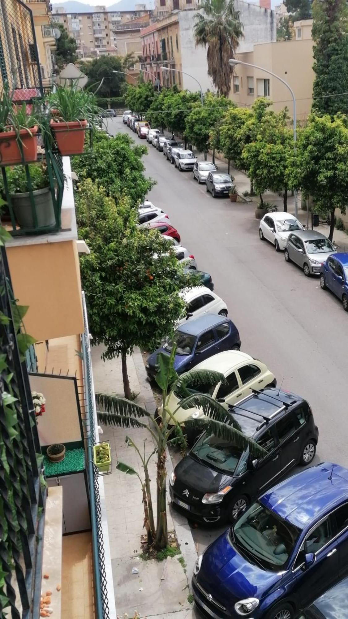 Biddizzi Apartment Palermo Bagian luar foto